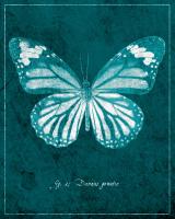 Butterfly D #89437 Butterfly D #89437