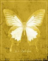 Butterfly L #89445 Butterfly L #89445
