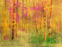 Spring Birch Trees #86481 Spring Birch Trees #86481