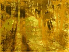 Golden Birch Meadow #86491 Golden Birch Meadow #86491
