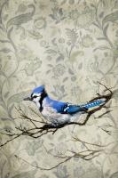 Blue Jay #87148 Blue Jay #87148