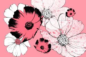 Dogwood Pink #87355 Dogwood Pink #87355