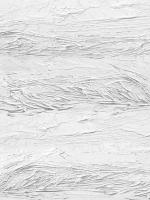 Textured on White IV #GSF114990