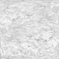 White on White I #GSF114994 White on White I #GSF114994