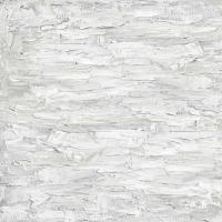 White on White IV #GSF114997