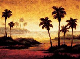 Sunset Palms II #GW4075 Sunset Palms II #GW4075