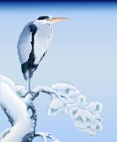 Winter Heron detail #GY114485 Winter Heron detail #GY114485