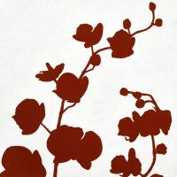 Red Orchid #91239 Red Orchid #91239