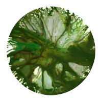Spin Art 11 #91573 Spin Art 11 #91573