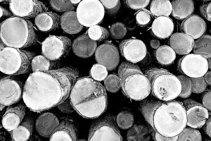Logging #90334 Logging #90334