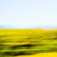Minimalist Treeline #90413 Minimalist Treeline #90413
