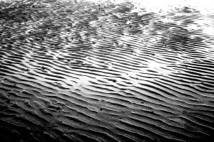 In the sand #90514 In the sand #90514