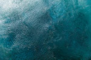 Water Texture Two Birds Eye #90751 Water Texture Two Birds Eye #90751