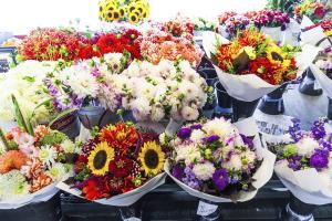 Untitled #92713 Untitled #92713