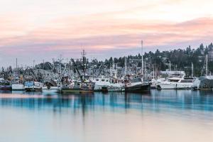 Ballard Marina I #92942 Ballard Marina I #92942