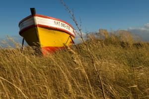 Boat Natales Chile #82737 Boat Natales Chile #82737