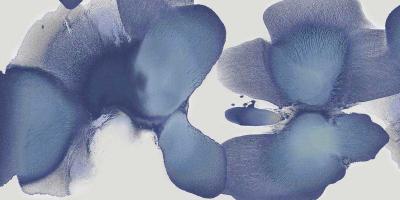 Animate Indigo I #HC113419 Animate Indigo I #HC113419