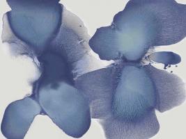 Animate Indigo II #HC113420 Animate Indigo II #HC113420