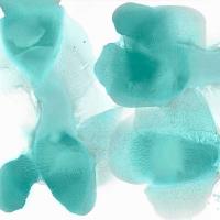 Dynamic Mint #HC113422 Dynamic Mint #HC113422