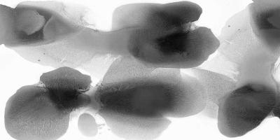 Intrinsic #HC113426 Intrinsic #HC113426