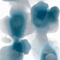 Vital I #HC113431 Vital I #HC113431