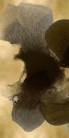 Circulate I #HC114184 Circulate I #HC114184