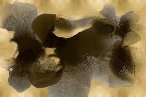 Circulate on Gold #HC114187 Circulate on Gold #HC114187