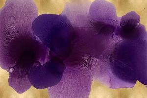 Continuous on Gold #HC114189 Continuous on Gold #HC114189