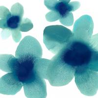 Aqua Blooms I #HC114197 Aqua Blooms I #HC114197