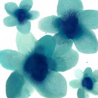 Aqua Blooms II #HC114198 Aqua Blooms II #HC114198