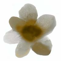Bloom Taupe I #HC114199 Bloom Taupe I #HC114199