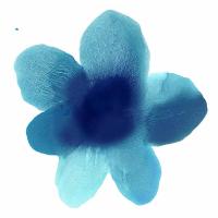 Blue Bloom I #HC114201 Blue Bloom I #HC114201