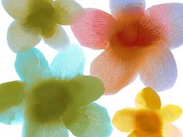 Floral Friends I #HC114203 Floral Friends I #HC114203