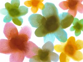 Floral Friends III #HC114205 Floral Friends III #HC114205