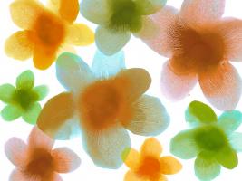 Floral Friends IV #HC114206 Floral Friends IV #HC114206