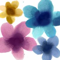 Floral Joy II #HC114208 Floral Joy II #HC114208