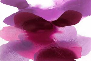 Magenta Drift #HC114213 Magenta Drift #HC114213