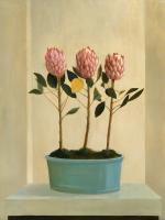Protea Stand #86348 Protea Stand #86348