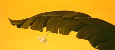 Banana Leaf I #80822