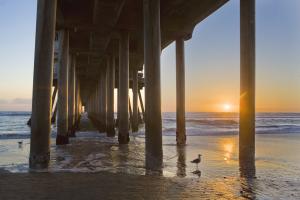 Huntington Beach Pier 6 #91627 Huntington Beach Pier 6 #91627