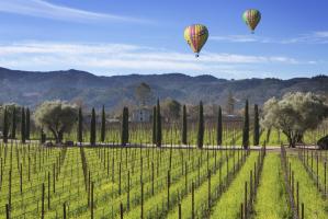 Napa Valley 1 #91634 Napa Valley 1 #91634