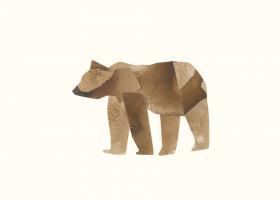 Black Bear #98512 Black Bear #98512