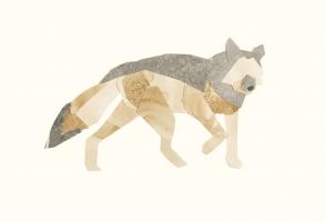 Grey Wolf #98518 Grey Wolf #98518