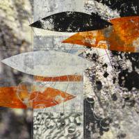 Koi 1 #91779 Koi 1 #91779
