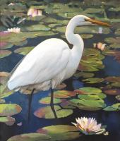 Great Egret #91437 Great Egret #91437