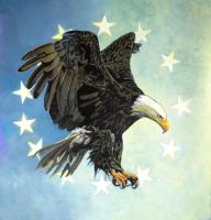 Great Bald Eagle #98432 Great Bald Eagle #98432