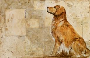 A Dog's Story 2 #82579 A Dog's Story 2 #82579