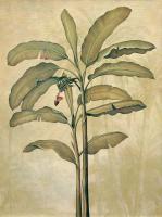 Palms of the Tropics II #ILD1458 Palms of the Tropics II #ILD1458