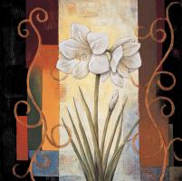 Amaryllis #ILD1906 Amaryllis #ILD1906