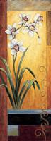 Orchid #ILD4059 Orchid #ILD4059